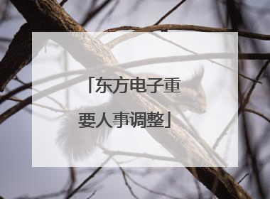 东方电子重要人事调整